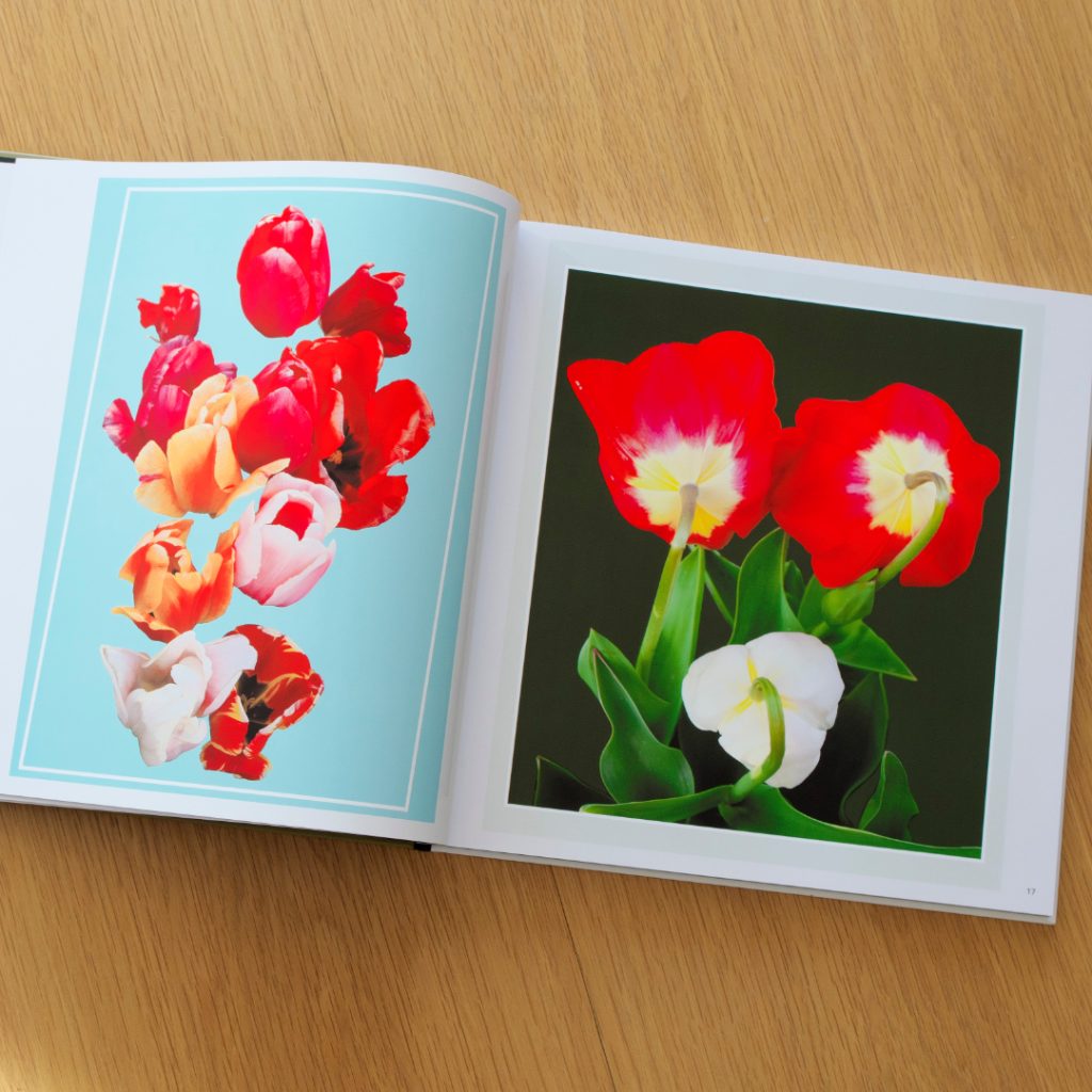 Inhaltsansicht aus dem Buch Auf der Suche