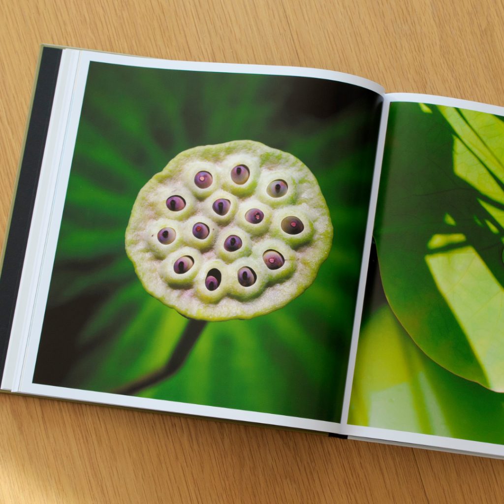 Inhaltsansicht aus dem Buch Auf der Suche