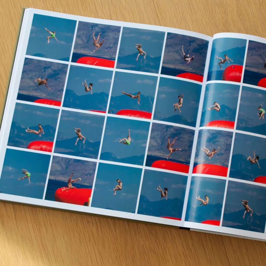 Inhaltsansicht aus dem Buch Auf der Suche